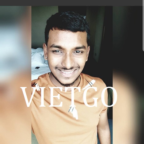  Áo Polo Vietgo